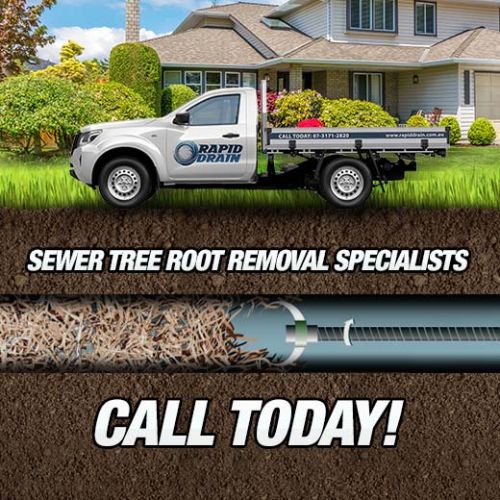 Sewer Tree Root Removal Specialists In Amity